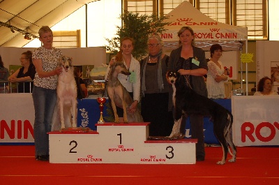 des Messagers de Khandah'Hare - exposition de Chateauroux 23/04/11