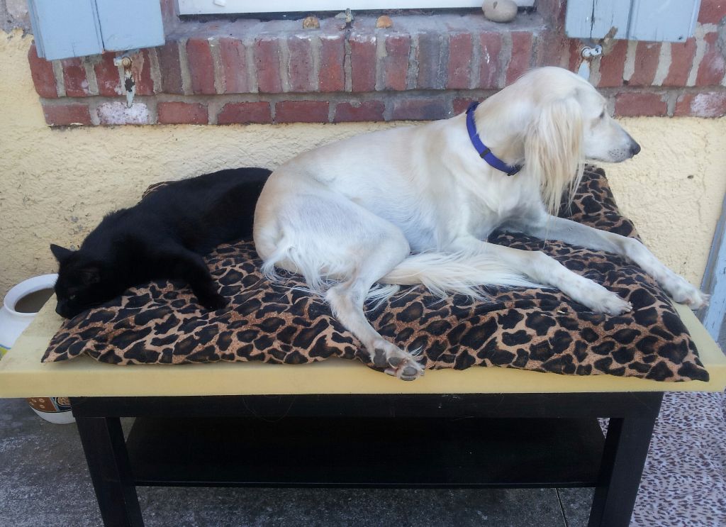 le repos des filles